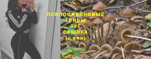 спайс Армянск
